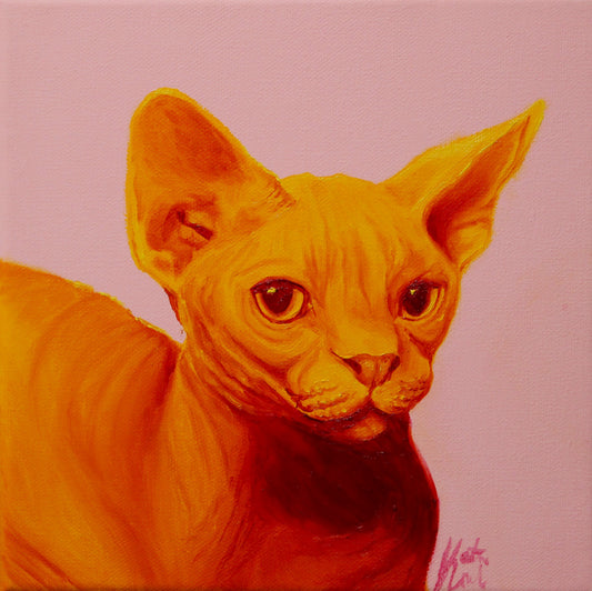 Cat Sticker